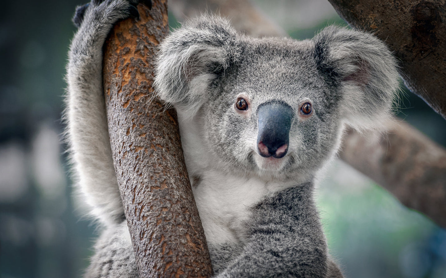 Ouwehands Dierenpark - afbeelding 7