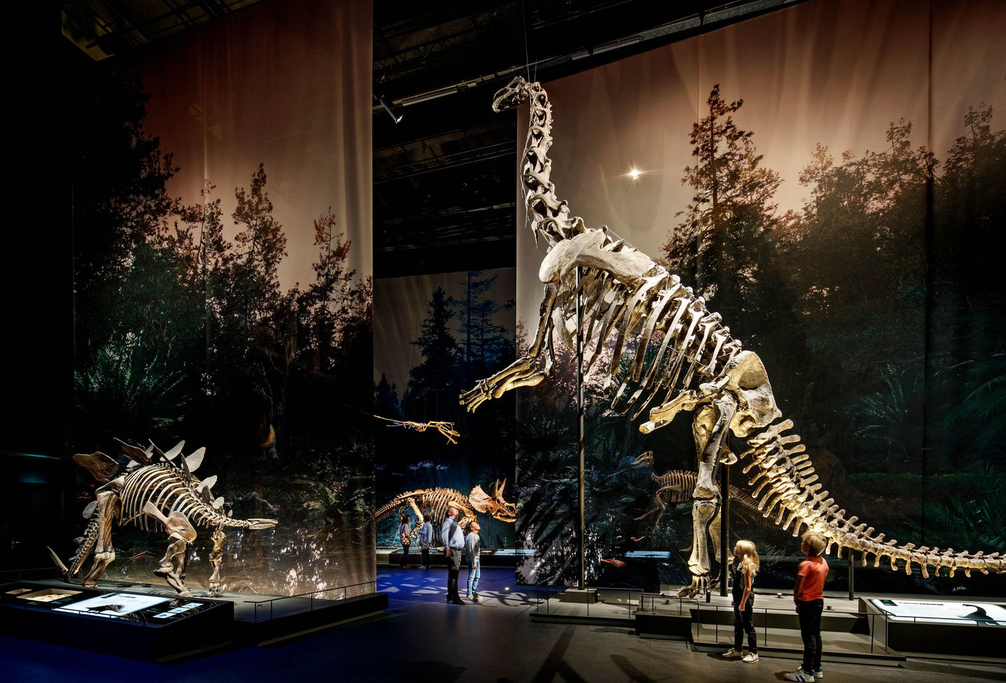 Naturalis Inka Naturalis Leiden - Tickets met €3,- korting