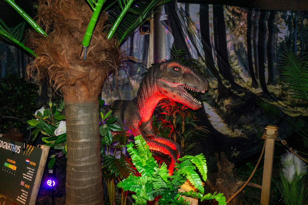 world-of-dinos-zandvoort - afbeelding 3
