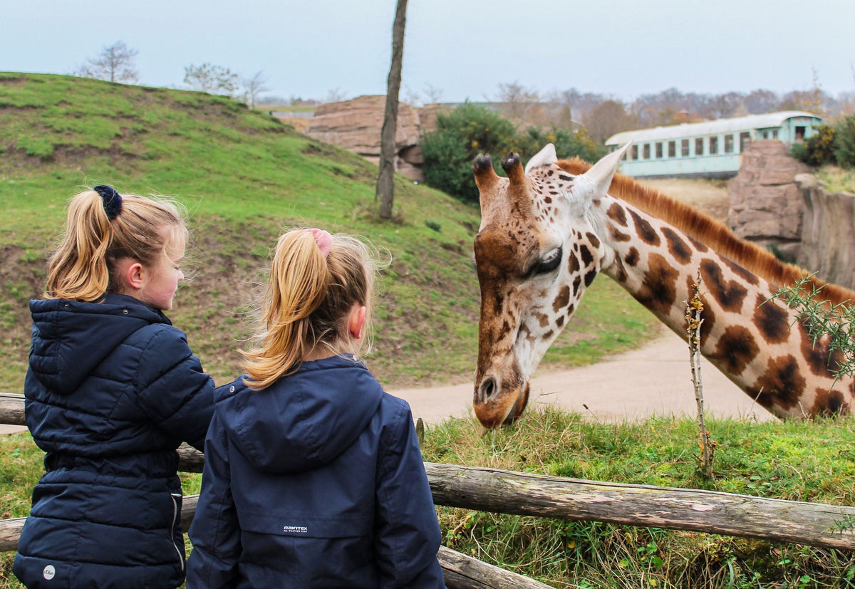 Wildlands Adventure Zoo Emmen - afbeelding 8