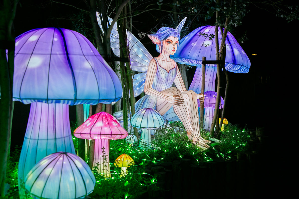 Ouwehands Dierenpark - Light Nights - afbeelding 6