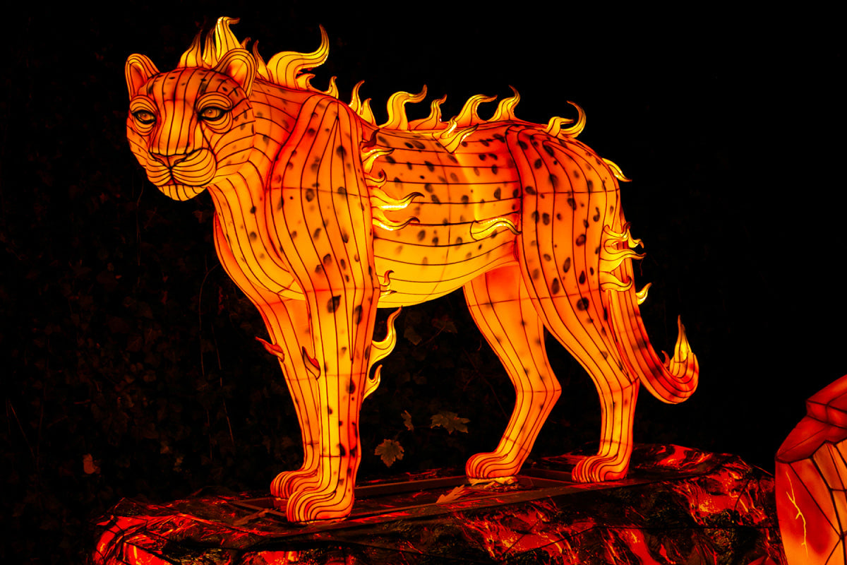 Ouwehands Dierenpark - Light Nights - afbeelding 4